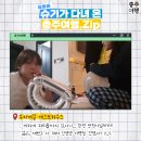슈기하우스