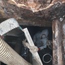 충청세차장 이미지