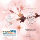 애월읍사무소 | 제주도 2026 애월읍 왕벚꽃축제(장전리 벚꽃거리) 행사 정보 및 주차 장소