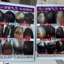 회원남로 이미지