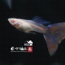 인암슈퍼