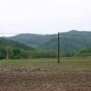 순조농장 이미지