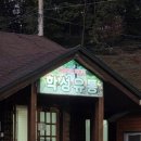 백옥대로 | [용인맛집] 숯에 구운 한우, 입안에서 ‘살살 녹는’ 그곳! 🍖 학성유통 | 내돈내산후기