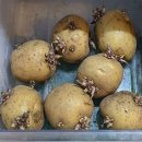 제철 집밥요리 이미지