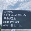 양을로 91 | 23-7월