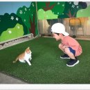 [경기 김포] 아이가 너무 좋아했던 김포 연보람목장 후기｜우유짜기·피자만들기까지 가능한 경기도...