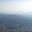 공설운동장길(공설운동장) Daum카페