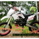 후니미니 이미지