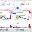 엠에스투어 이미지