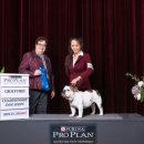 더블유펫 테마파크 이미지