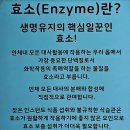 에바니아힐링케어 네이버블로그