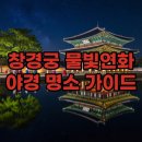 물빛기술 | 2026 창경궁 물빛연화 시간 및 후기 야간개장 서울 야경 명소