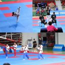 경희대호림태권도장 이미지