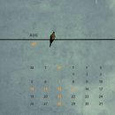 바르미나치과의원 이미지