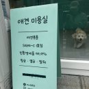 친절한애견미용실 이미지