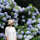 청대농산물 | 자연을 즐기는 새로운 방법, 탐조인을 위한 타이베이 탐조 스폿