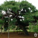 이천1리마을회관 이미지