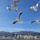 송기획