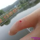 당골낚시터 이미지