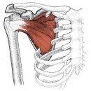 제이핏 트레이닝 이미지