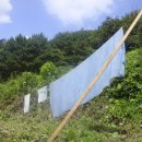 여가농장 이미지