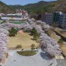법무법인청률
