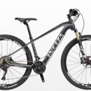 광성자전거 이미지