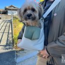 모글리하우스 이미지