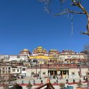 루피독 | 리쟝 샹그릴라 2일차 나파해 송천림사 독커종고성