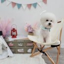 베스띠몽 이미지