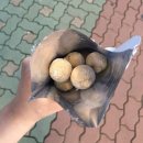GS25다대포