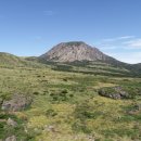 한라산 선작지왓 이미지