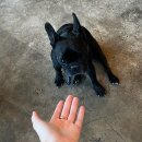 꾸꾸하우스 이미지