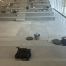 데스티니 퍼피 | 3월은 어땠냐면요