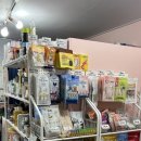 부광퍼피 이미지