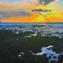 제주동백렌트카 - 제주시 오광로 24 | 제주동백렌트카