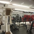 뉴라이프헬스클럽 | 뉴라이프짐 방문후기, 수원 헬스·PT·필라테스 한 곳에서 체험기