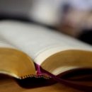 제천종합운동장 이미지