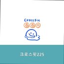 크로스핏225 이미지