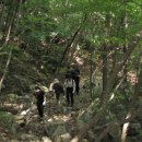 멍멍하니? 이미지