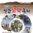 벌교꼬막 이미지