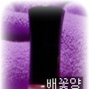 네일빛깔 이미지