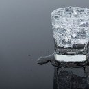 피트니스 넘버원 이미지