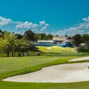 메이저골프클럽(주) 이미지