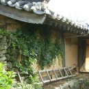 아산3호 이미지