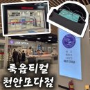 룩옵티컬모다천안점 | 친절하고 합리적인 불당동 안경점 [룩옵티컬 모다천안점] 솔직후기
