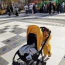 도전해동검도 공도관 이미지