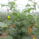 창희네 농장 이미지