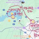 도깨비스시 | 2박 2일 도쿄 + 후지산 도깨비 가족 여행. 비행 숙소 교통 맛집 코스 총정리!