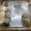 팔남매만두 이미지